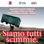 siamo-tutti-scimmie