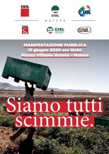 siamo-tutti-scimmie